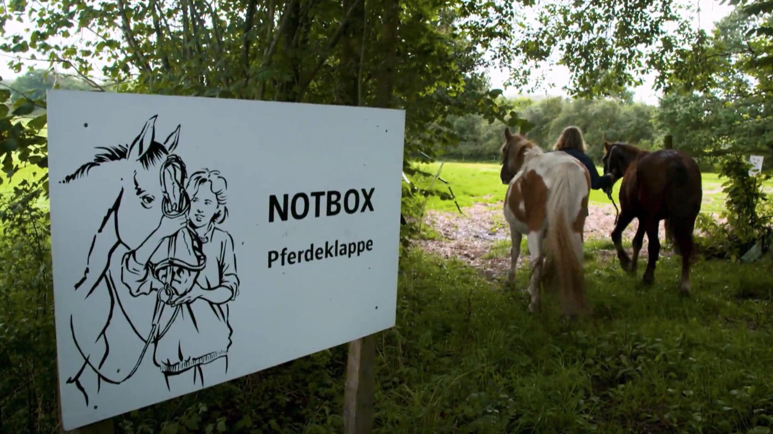 Pferdeklappe Schleswig Holstein Vermittlung Pferdeklappe Schleswig Holstein Vermittlung