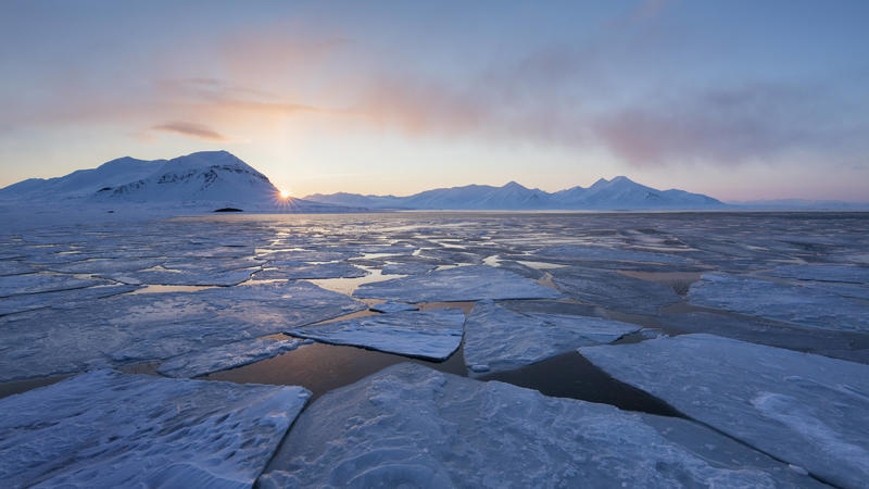  Die Arktis leidet enorm unter dem Schwund des Eises.