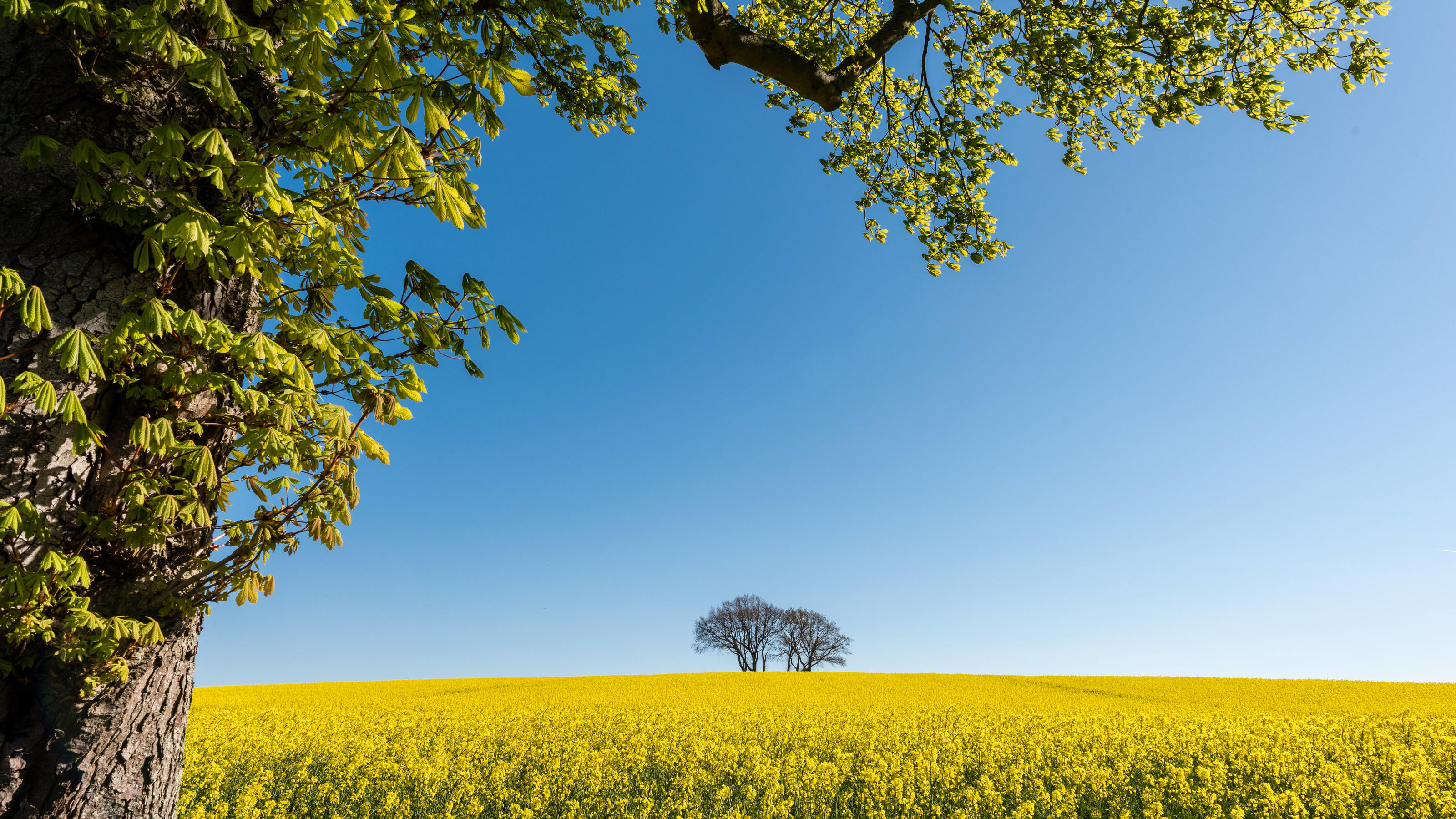 Jeden Tag 10 Stunden Sonnenschein Rekord Wetter De