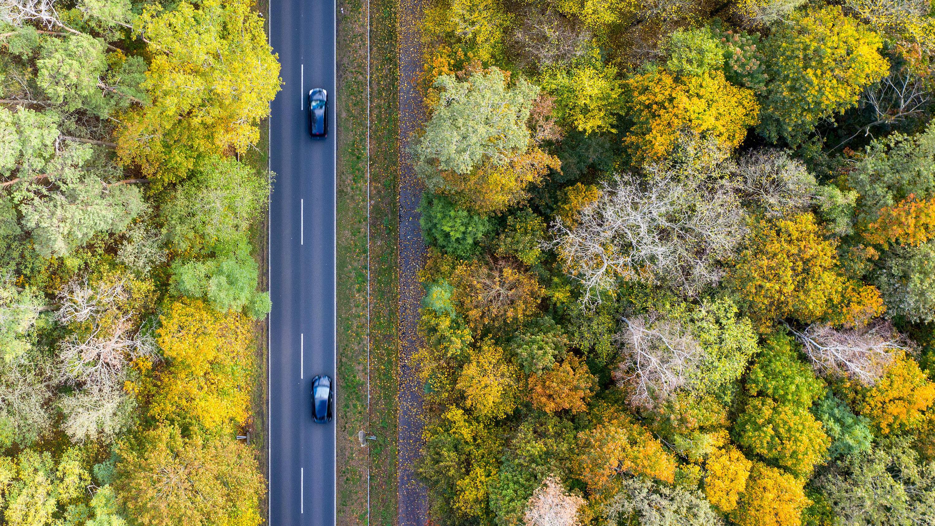 ARCHIV - 17.10.2019, Brandenburg, Nuthetal: Zwei Autos fahren über die Landstraße L79 zwischen herbstlich gefärbten Bäumen (Luftaufnahme mit einer Drohne). (Zu dpa «CO2-Schlucker: Sind Bäume Klima-Retter?») Foto: Monika Skolimowska/dpa-Zentralbild/dpa +++ dpa-Bildfunk +++