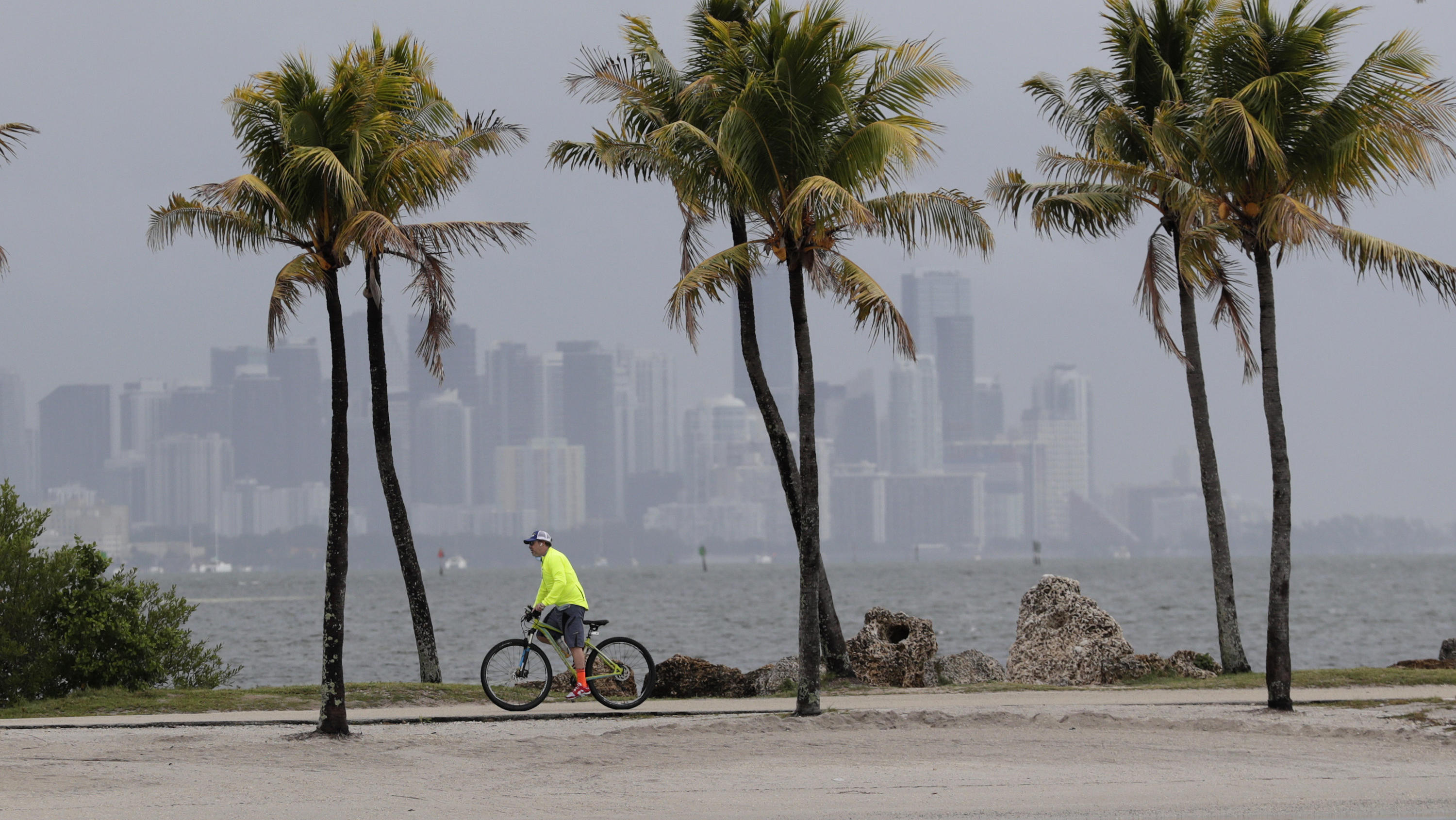 15.05.2020, USA, Miami: Ein Fahrradfahrer fährt an der Biscayne Bay entlang, während im Hintergrund die Skyline der Stadt von dunklen Wolken umhüllt ist. Ein Tiefdruckgebiet bewegt sich in Richtung der Bahamas und könnte zum ersten benannten Sturm der Hurrikan-Saison werden. Foto: Lynne Sladky/AP/dpa +++ dpa-Bildfunk +++