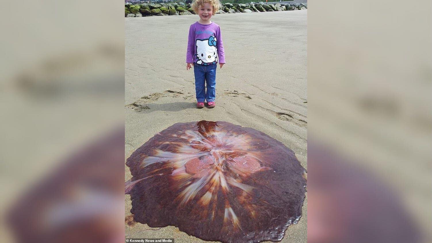 Er Fickt Einer Unbekanntes Mädchen Am Strand Er Fickt Einer Unbekanntes Mädchen Am Strand