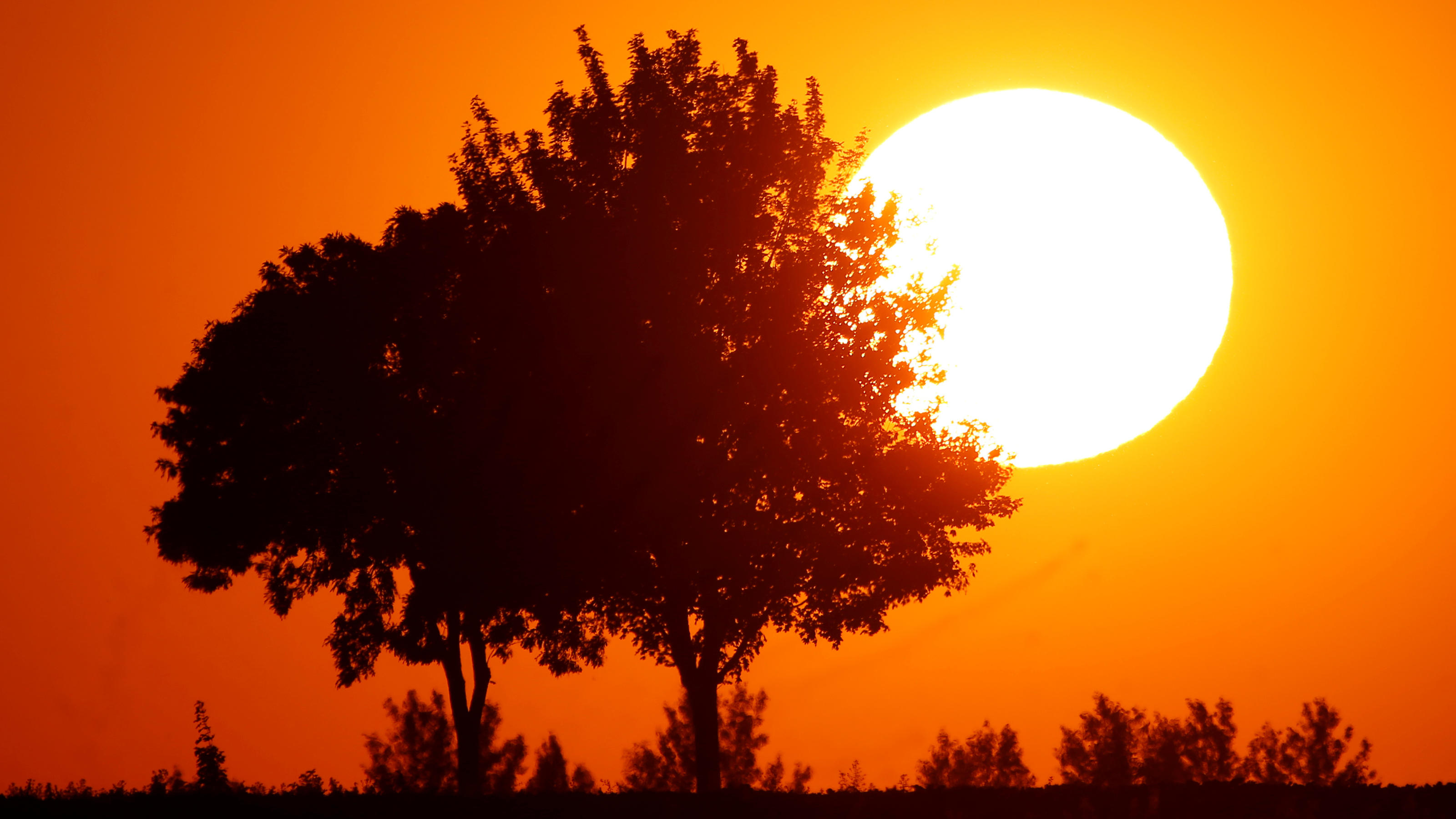 The sun sets behind a tree as a heatwave hits France, in Baralle, France, June 24, 2020. REUTERS/Pascal Rossignol