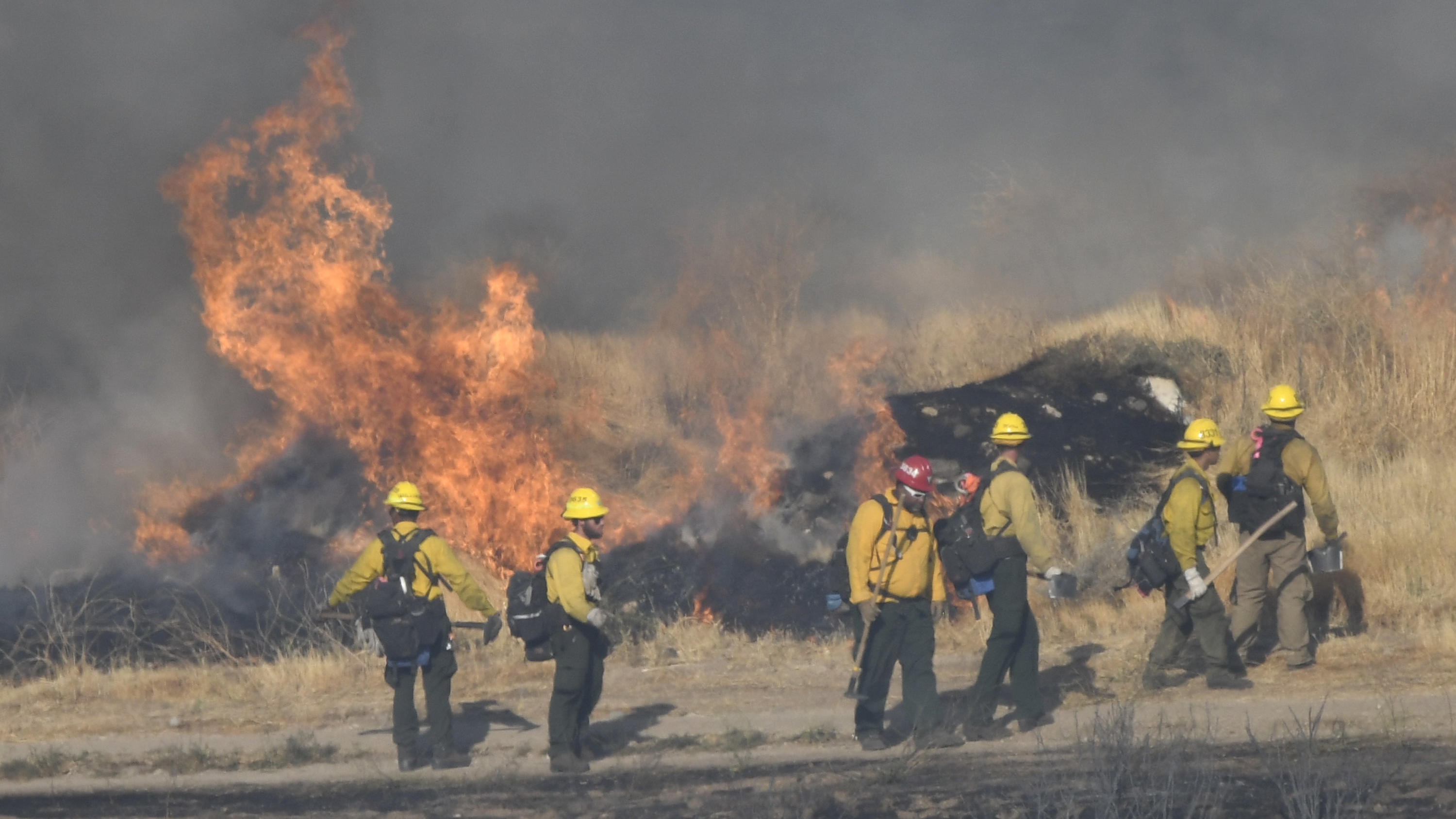 USA: Waldbrände in Kalifornien wohl durch Feuerwerkskörper ...