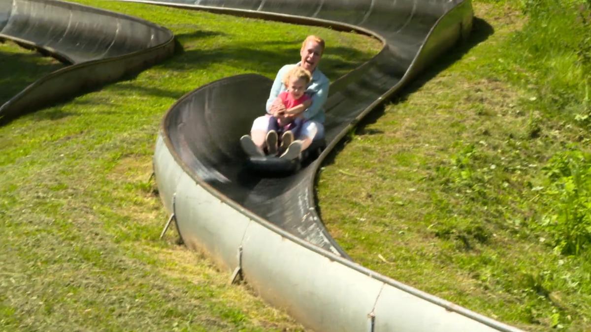 Sommerrodelbahnen in Deutschland: Das sind die besten! | wetter.de