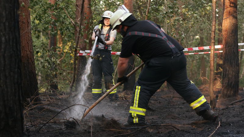 Beim Flächenbrand in dem Naturschutzgebiet bei Dormagen kamen keine Menschen zu Schaden.