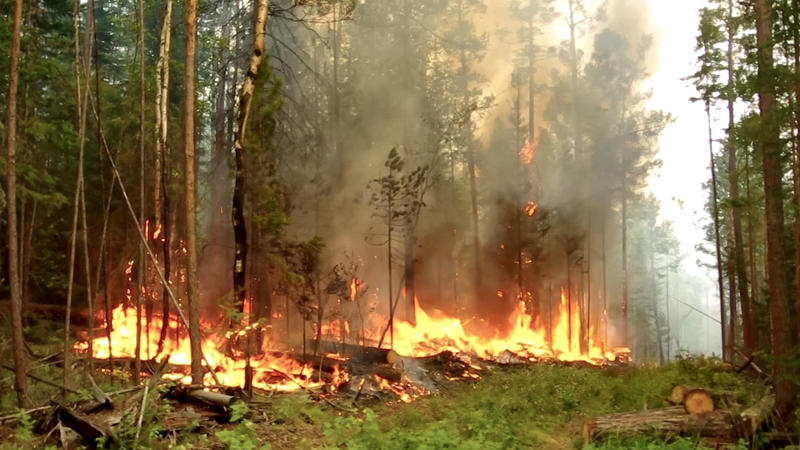 Der DWD warnt vor erhöhter Gefahr von Waldbränden.