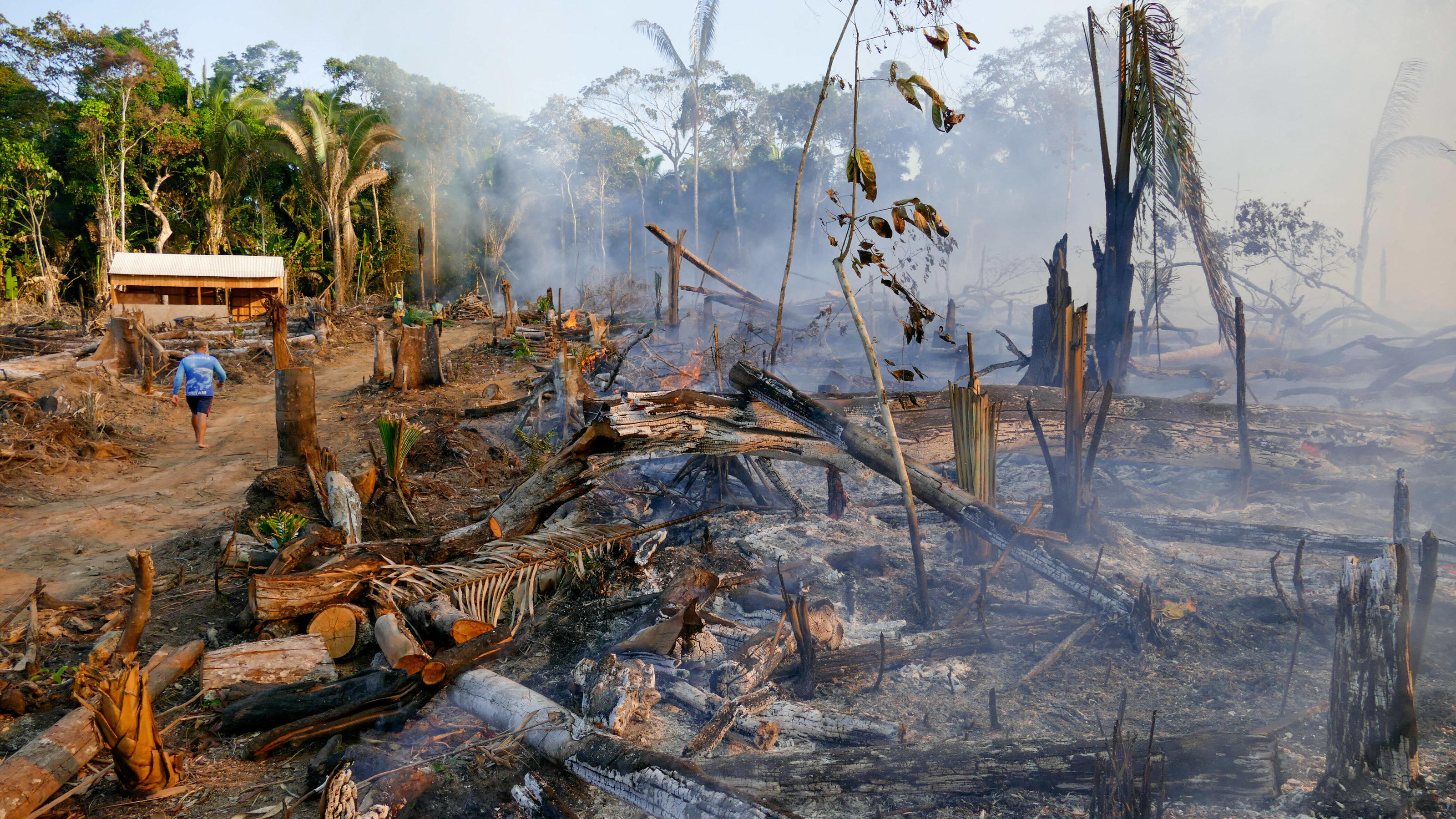 Brasilien Zerstorung Des Amazonas Regenwalds Dramatisch Gestiegen Wetter De