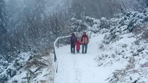 Eine Familie wandert am Samstag (08.10.2011) unterhalb des Gipfels am 1456 Meter hohen Großen Arber (Niederbayern) auf einem mit Schnee bedeckten Weg. In höheren Lagen schneite es in Bayern am Vormittag bei Temperaturen um die null Grad. Foto: Armin Weigel dpa/lby  +++(c) dpa - Bildfunk+++