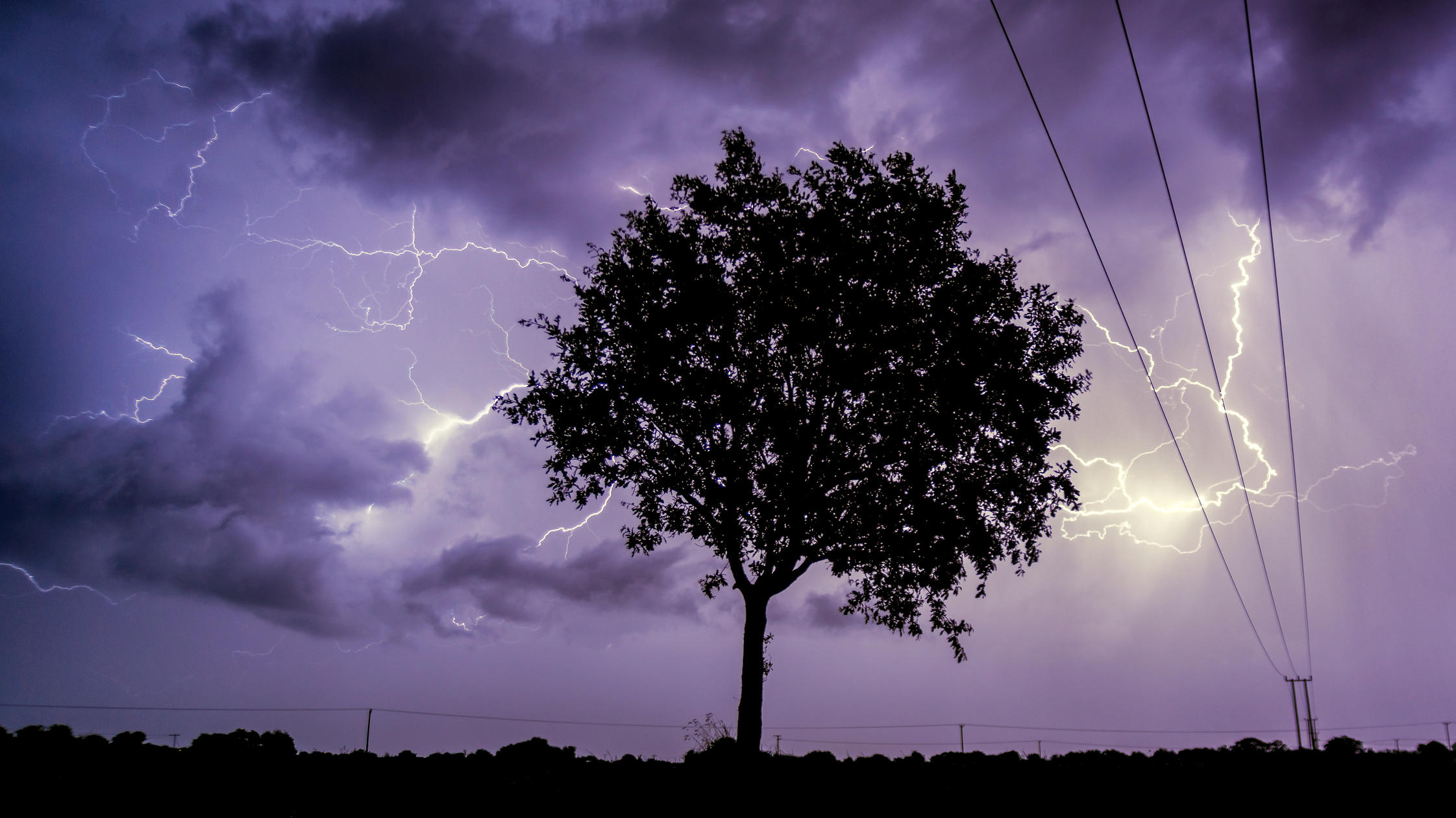A silhouette of a tree against a stormy sky with lightning and clouds