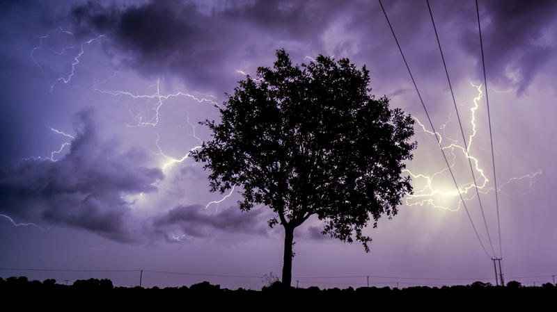 A silhouette of a tree against a stormy sky with lightning and clouds
