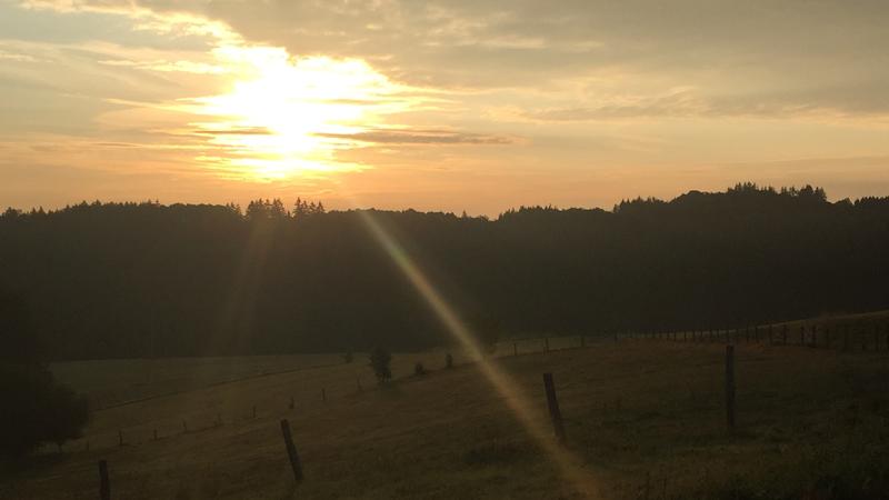 Morgendunst