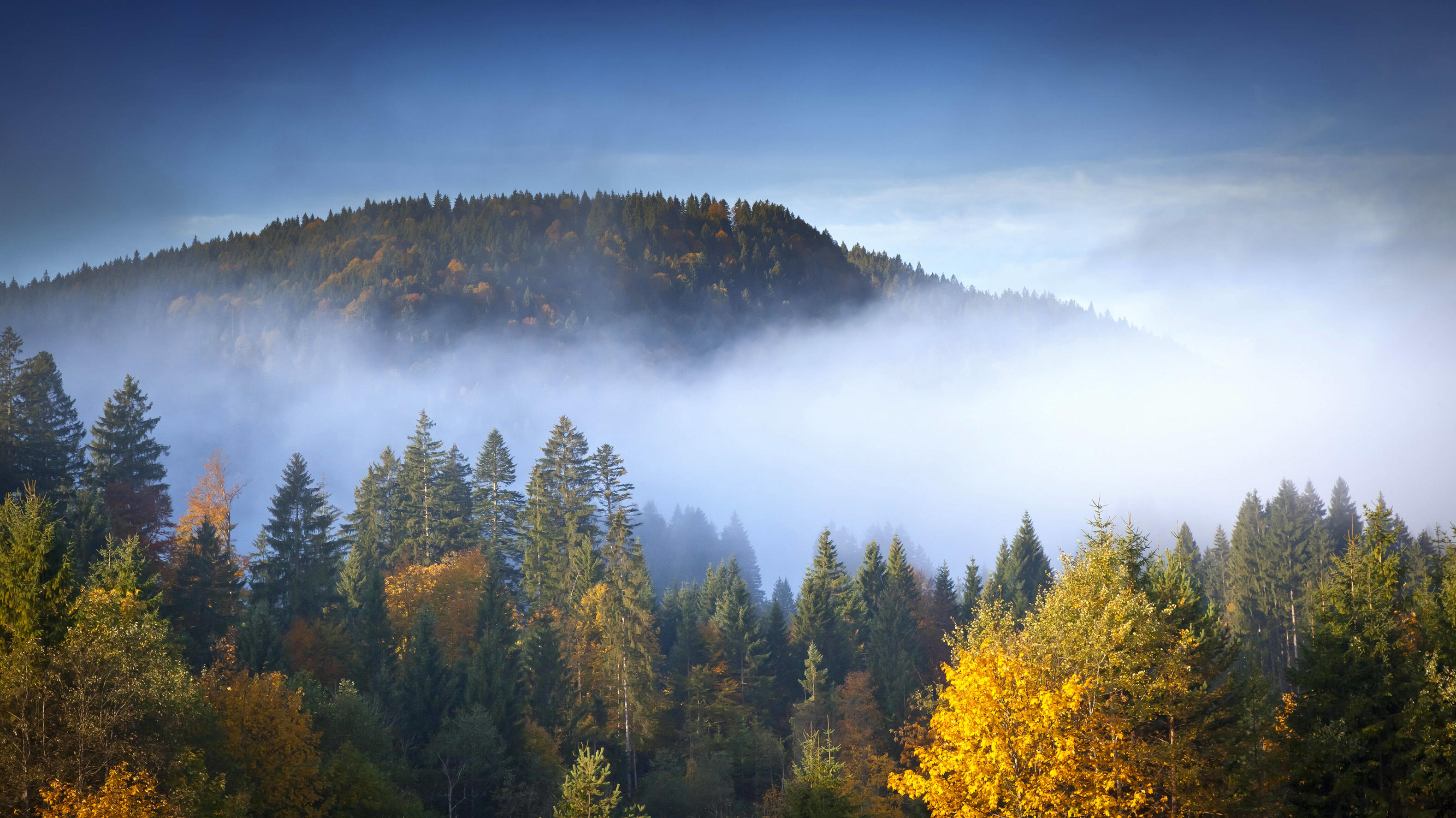 42-Tage-Wettertrend: So wird das Wetter im September 2020 - wetter.de