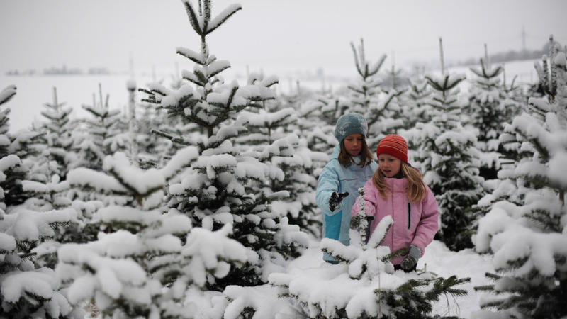 Weihnachtsbaum-Suche im Schnee: Deutschlandweit betrachtet war die letzte "Weiße Weihnacht" vor genau zehn Jahren im Jahr 2010.