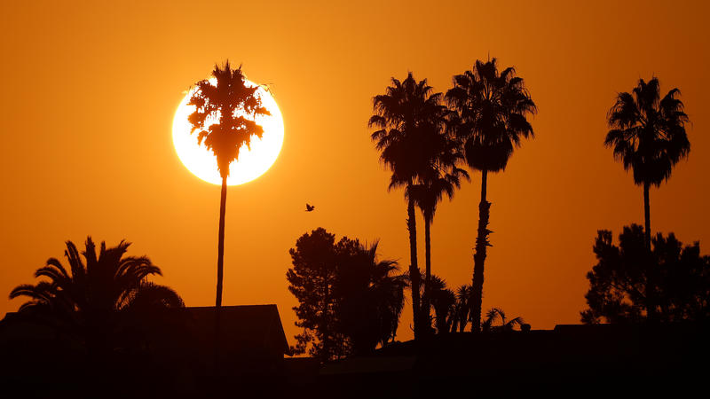 Der Sommer 2020 bricht Rekord: So heiß war es noch nie.