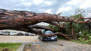 200830 Unwette. Ein Vb-Tief sorgt derzeit für mächtige Unwetter in Norditalien. Immer wieder zogen massive Gewitterzellen über die Region Venetien hinweg. Sie brachten auch Tornados mit sich. Neben Tornados, Großhagel gibt es vor allem sehr viel Niederschlag. Eine brisante Hochwasserlage hat sich eingestellt. In Südtirol sind zahlreiche Feuerwehren seit Samstagmorgen im Dauereinsatz. Die Lage entspannt sich erst Morgen. Venetien Italien Deutschland *** 200830 Storm A Vb low is currently causing powerful storms in northern Italy Massive thunderstorm cells repeatedly swept over the Veneto region They also brought tornadoes Apart from tornadoes, there is also a lot of precipitation In addition to tornadoes, there is also a lot of hail There i