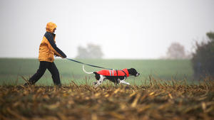 23.10.2020, Baden-Württemberg, Riedlingen: Eine Frau geht mit ihrem Hund im Regen spazieren. Foto: Thomas Warnack/dpa +++ dpa-Bildfunk +++