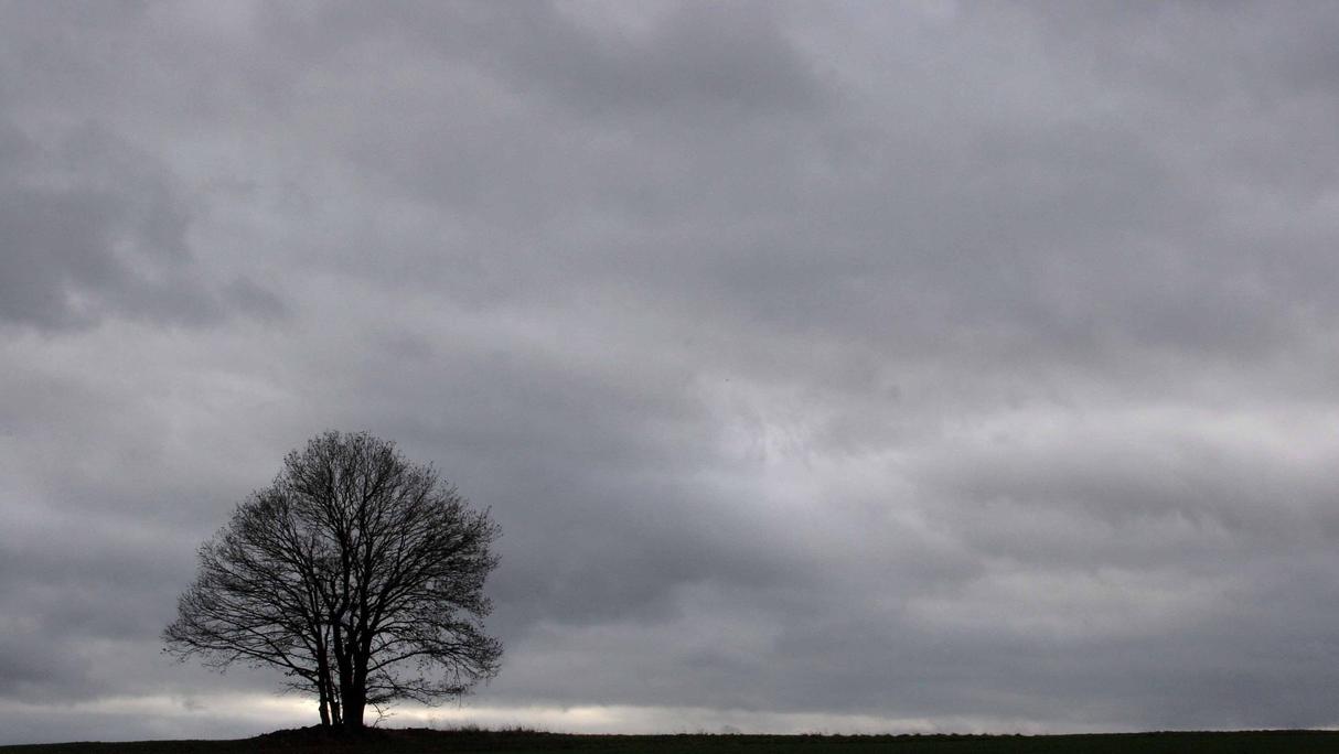 Wetter Bielefeld heute - aktuell & stündlich - wetter.de