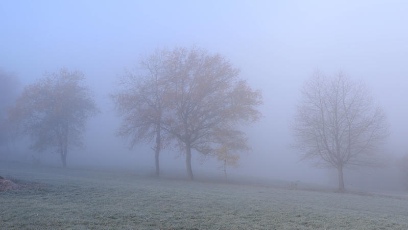  Eiskalter Herbstmorgen im Siegerland, Frost und Nebel hat sich über die Landschaft gelegt.