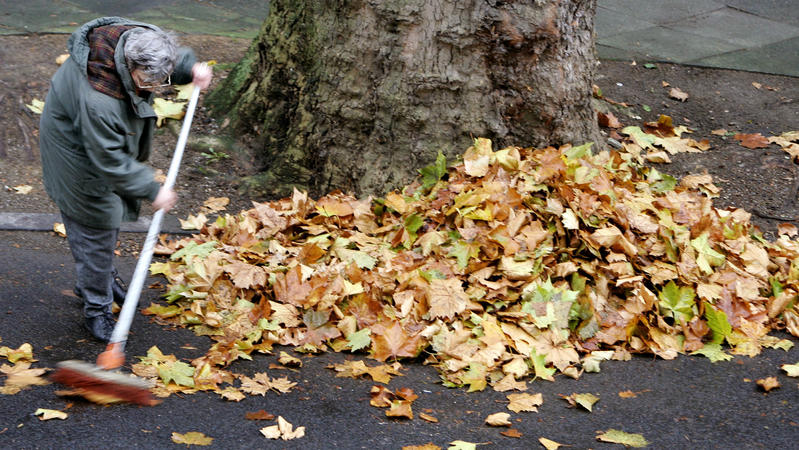 Eine Frau fegt am Montag (07.11.2005) in Dortmund am Fuße eines Baumes Laub zusammen. Das Hoch "Verena" vereint sich am Dienstag (08.11.2005) mit dem Hoch "Ute" über Russland und bringt Nordrhein-Westfalen einen schönen Herbsttag. Das Tief "Lutz" am 