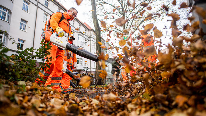 29.10.2020, Hamburg: Mitarbeiter der Hamburger Stadtreinigung beseitigen heruntergefallenes Laub. Foto: Daniel Reinhardt/dpa +++ dpa-Bildfunk +++