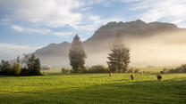  Herbstnebel im Allgäu 09.10.2020, Oberstdorf Bayern: Die aufgehende Sonne scheint durch Nebelschwaden bei Oberstdorf in den Allgäuer Alpen., Oberstdorf Deutschland *** Autumn fog in the Allgäu 09 10 2020, Oberstdorf Bavaria The rising sun shines through wafts of mist near Oberstdorf in the Allgäu Alps , Oberstdorf Germany
