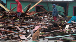 A dog sits amidst debris as residents inspect an area affected by the passing of Hurricane Iota, in Puerto Cabezas, Nicaragua November 17, 2020. Picture taken November 17, 2020. REUTERS/Oswaldo Rivas