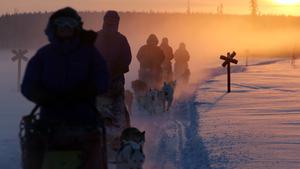 19.01.2016, Aekaeskero, Lappland, Finnland - Menschen fahren bei Sonnenuntergang mit Hundeschlitten durch die unberuehrte Natur. 00S160119D177.JPG MODEL RELEASE: YES, PROPERTY RELEASE: NO MR:Y19 01 2016 Aekaeskero Lapland Finland People drive at Sunset with Sled dogs through the pristine Nature JPG Model Release Yes Property Release No Mr y