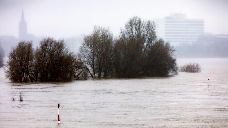  Hochwasser am Rhein in Düsseldorf