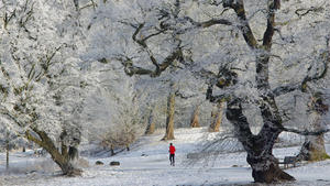 Ein Jogger im Jenischpark in Hamburg vor einer winterlichen Kulisse nach Minustemperaturen in der Nacht. *** A jogger in the Jenischpark in Hamburg in front of a wintry scenery after minus temperatures at night