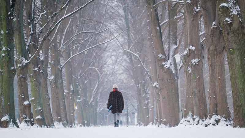 01.02.2021, Niedersachsen, Hannover: Eine Frau spaziert durch eine mit Schnee bedeckte Allee am Ufer des Maschsees. Foto: Ole Spata/dpa +++ dpa-Bildfunk +++