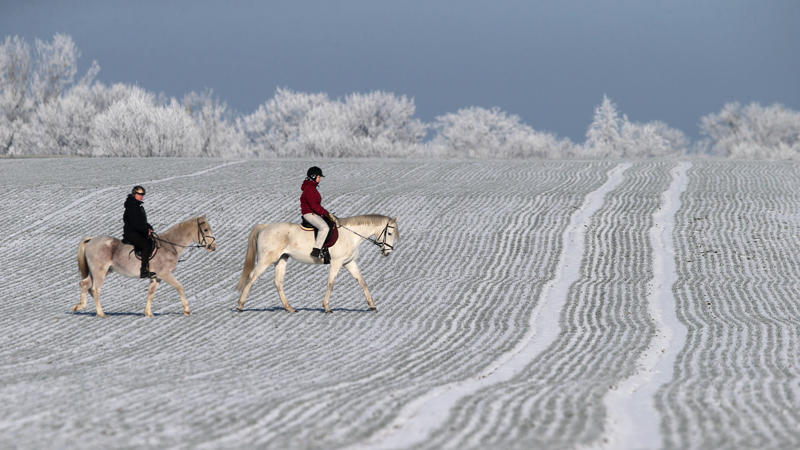 Es wird bitterkalt in Deutschland. Zu Frost und Schnee gesellt sich aber auch die Sonne.