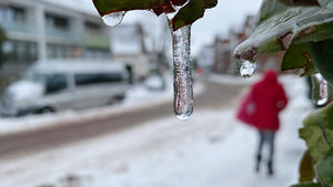 15.02.2021, Niedersachsen, Laatzen: Regen ist an einer Hecke zu Eis gefroren. Der Deutsche Wetterdienst (DWD) warnt davor, dass beim Übergang von Schnee in Regen verbreitet mit Glatteis gerechnet werden muss. Foto: Julian Stratenschulte/dpa +++ dpa-Bildfunk +++