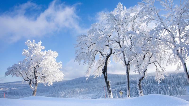 Was für ein Wintermärchen nach einer chaotischen Wetterwoche in Deutschland. Anfang der Woche gab es erst ein Schneechaos, bis heute hatte man mit den Folgen der intensiven Schneefälle noch zu kämpfen. Danach folgte die eisige Kälte.
