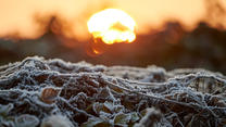10.12.2020, Nordrhein-Westfalen, Köln: Die Morgensonne lässt nach einer Frostnacht die Rheinaue bei Köln-Langel erstrahlen. Foto: Henning Kaiser/dpa +++ dpa-Bildfunk +++