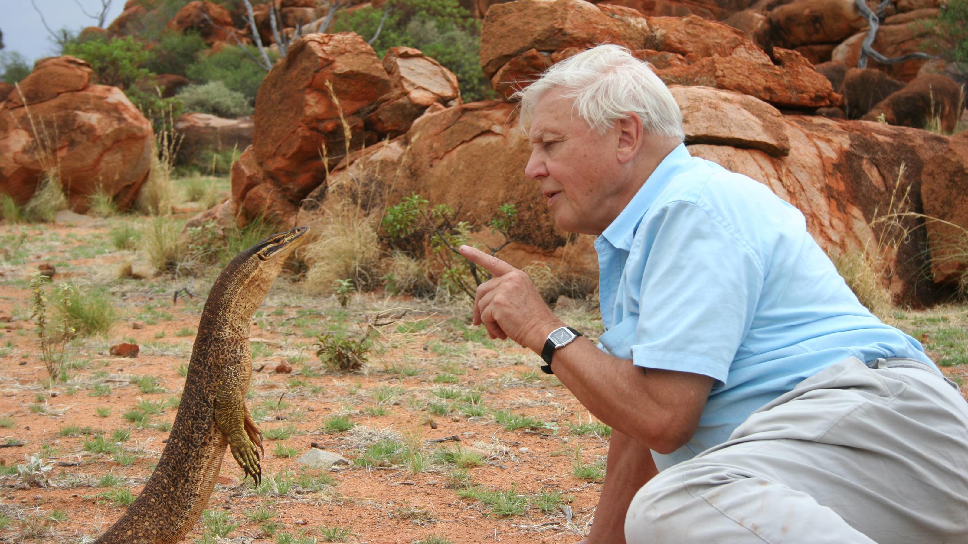 Legendarer Tierfilmer Sir David Attenborough Uber Klimawandel Haben Sicheren Pfad Verlassen Wetter De