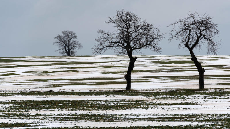 Tauwetter kommt Der Schnee schmilzt bis in hohe Lagen.