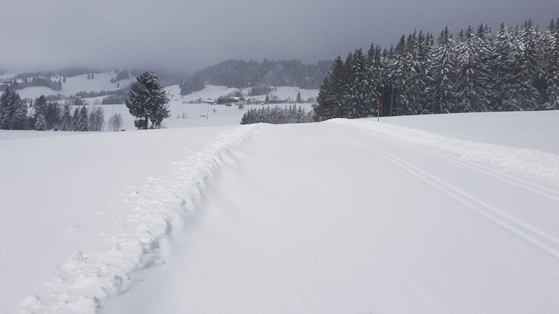 Schnee und Winter im Voralpenland