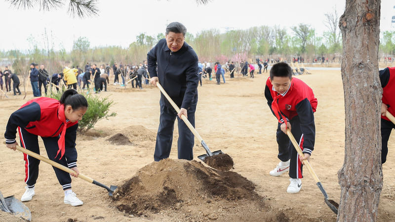 Auch in China werden Bäume gepflanzt