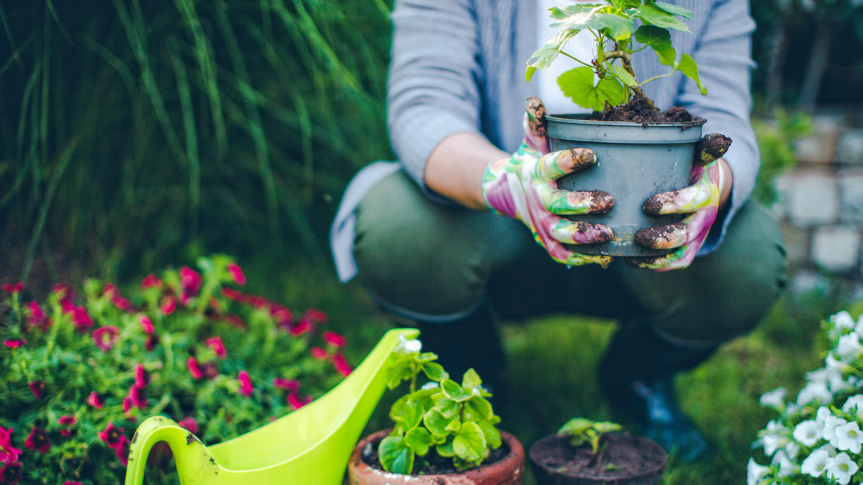 Mit diesen Tipps wird Ihr Garten nachhaltiger!