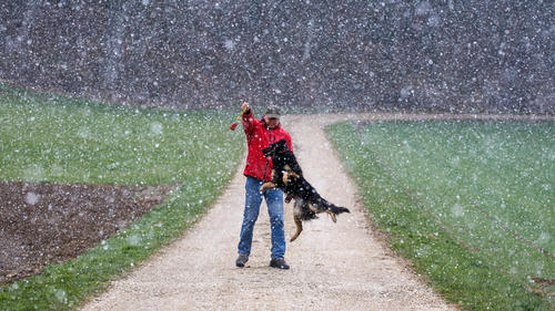 18.04.2021, Baden-Württemberg, Meidelstetten: Ein Mann spielt im dichten Schneetreiben mit seinem Hund auf der Schwäbischen Alb. Foto: Thomas Warnack/dpa +++ dpa-Bildfunk +++