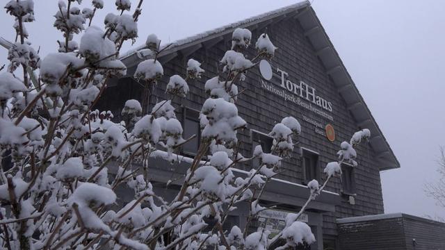 Wenn die Prognosen zu Pfingsten 2021 so bleiben, dann macht uns das Wetter keinen Spaß. Es gibt viel Regen und es bleibt kalt. Es geht so weit runter, das es im Bergland nochmals Schnee geben kann und selbst in Köln Frostgefahr besteht!