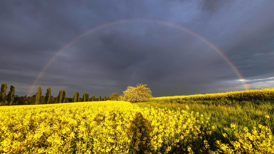 Wetter Kroatien 14 Tage - Wettertrend Kroatien - wetter.de