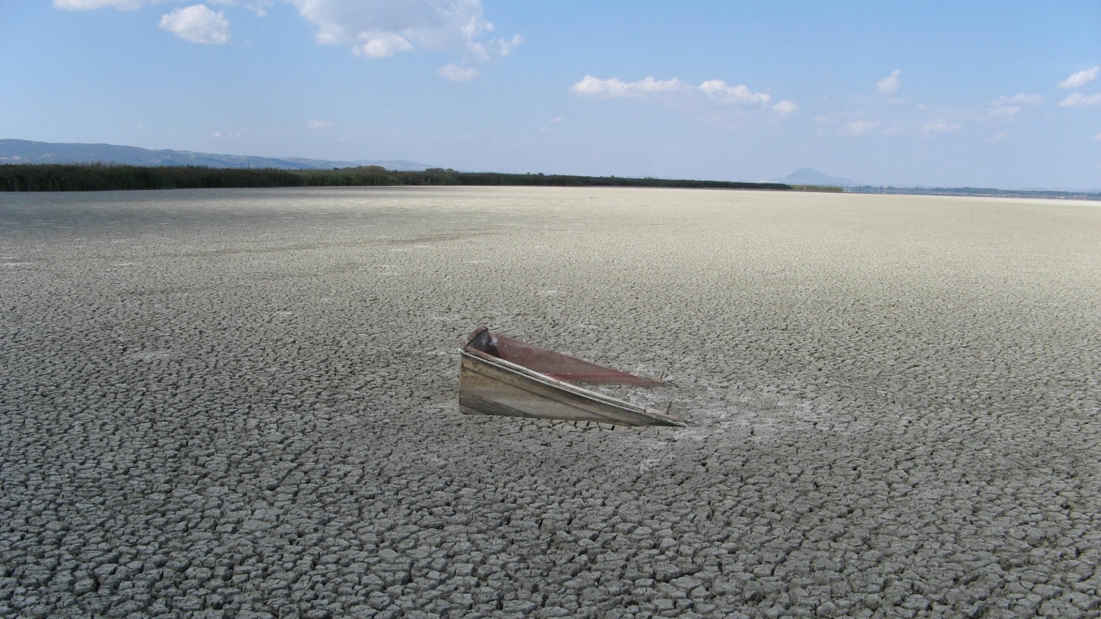 Volvi-See in Griechenland, Artenschwund, Vom Aussterben bedrohte Tierarten