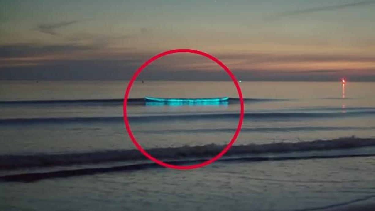 Unsere Kamerafrau hat spektakuläre Bilder vom Meeresleuchten auf Norderney und am Strand von St. Peter-Ording aufgenommen.