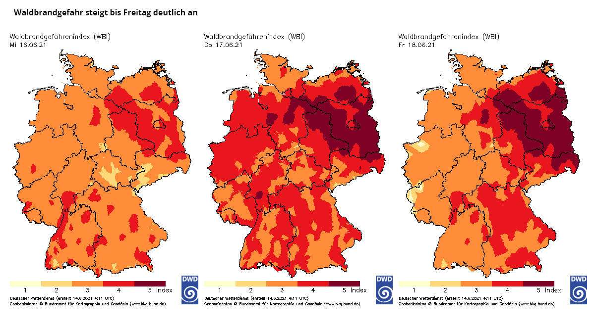 Waldbrandgefahr steigt: DWD ruft höchste Warnstufe aus - Wo wird es