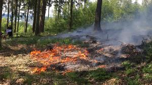 Waldbrand bei Olpe verdeutlicht Gefahr