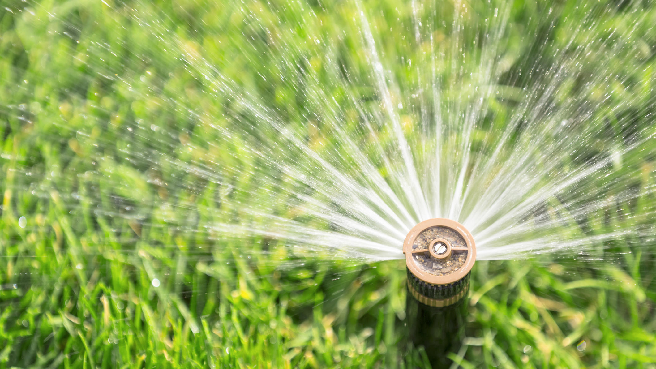 Bewässerungs-Systeme in Haus und Garten: Was ist sinnvoll?
