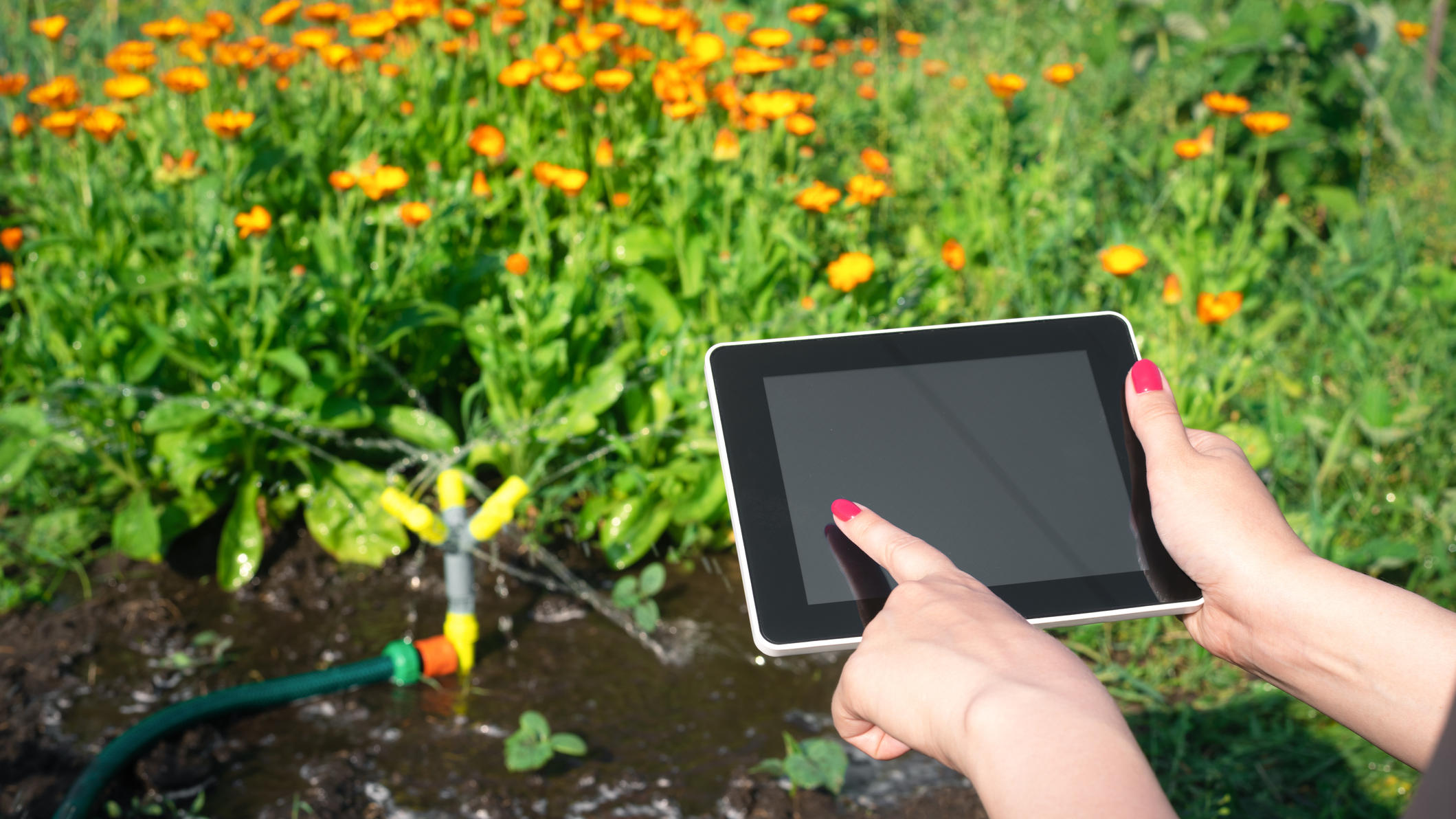 Bewässerungs-Systeme in Haus und Garten: Was ist sinnvoll?