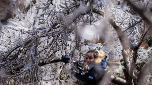 29.07.2021, Brasilien, Sao Joaquim-Urupema: Eine Jugendliche freut sich über einen gefrorenen Baum, nachdem es aufgrund einer Kaltfront geschneit hat. Bewohner und Touristen freuten sich über das ungewöhnliche Phänomen. Foto: Diorgenes Pandini/dpa +++ dpa-Bildfunk +++
